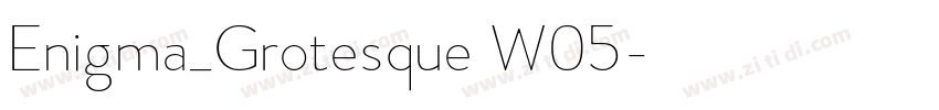 Enigma_Grotesque W05字体转换 Enigma_Grotesque W05字体转换